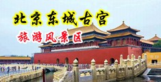 操老妇女BB图片视频中国北京-东城古宫旅游风景区